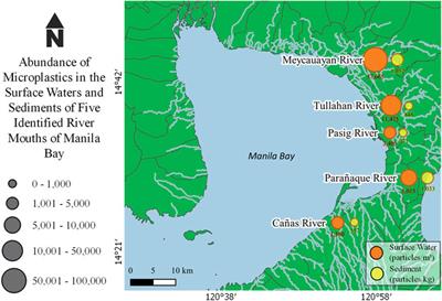 Microplastics Occurrence in Surface Waters and Sediments in Five River Mouths of Manila Bay